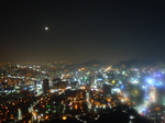 P1020103.JPG